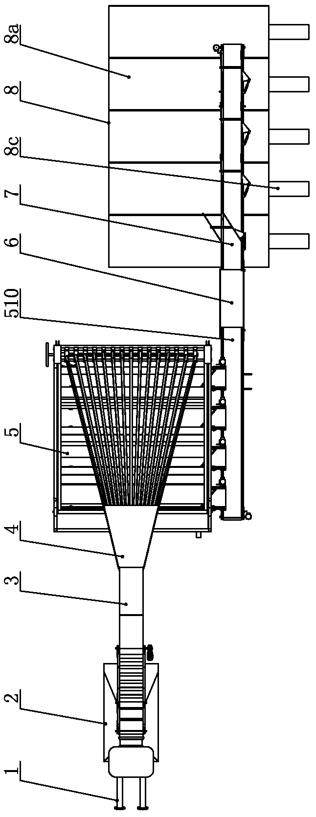 Fish sorting and conveying system