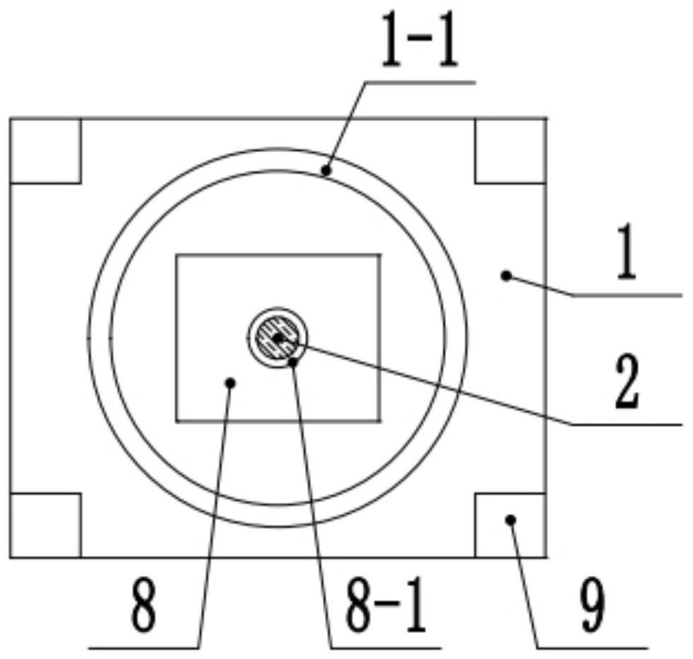 Rotary test tube rack for biotechnology development