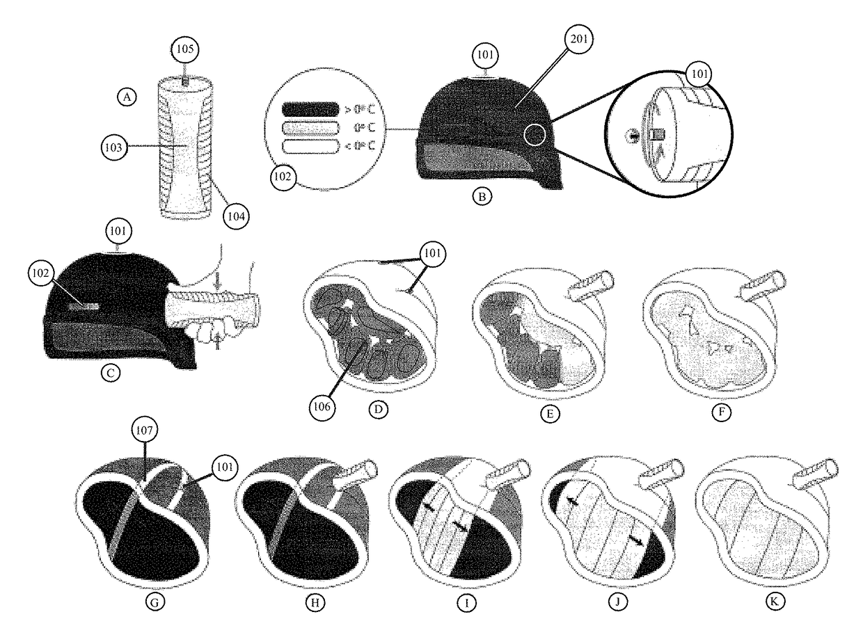 Therapeutic brain cooling system and spinal cord cooling system