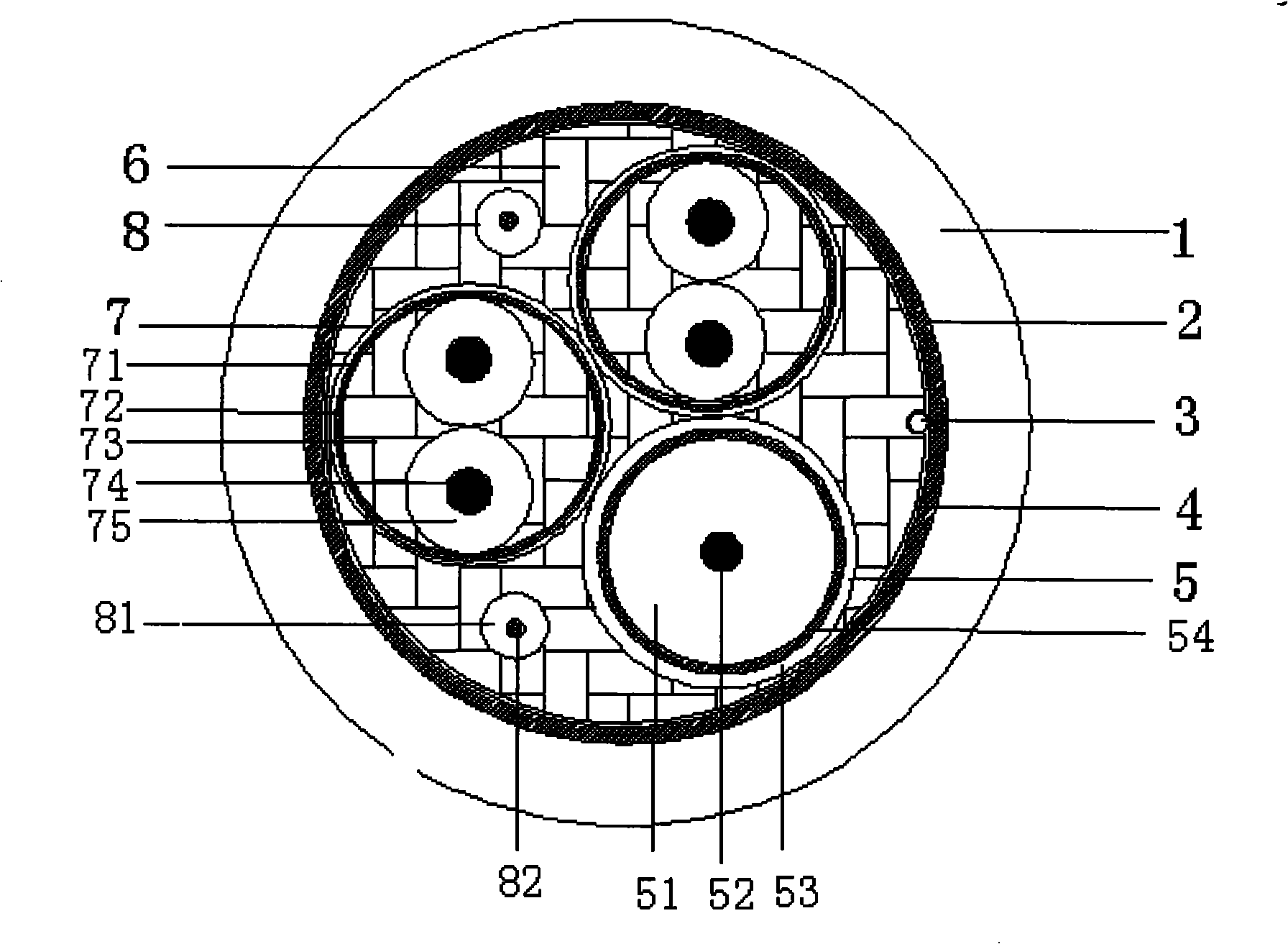 Locomotive audio-video monitoring cable