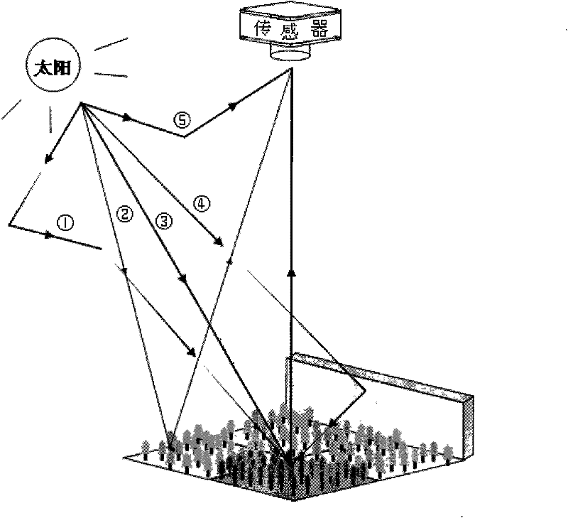 A Simulation Method for Hyperspectral Remote Sensing Data of Complex Woodland Scenes