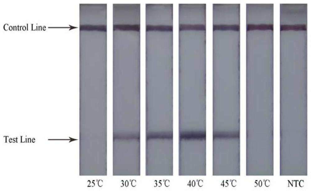 A detection method for food-borne pathogen Salmonella