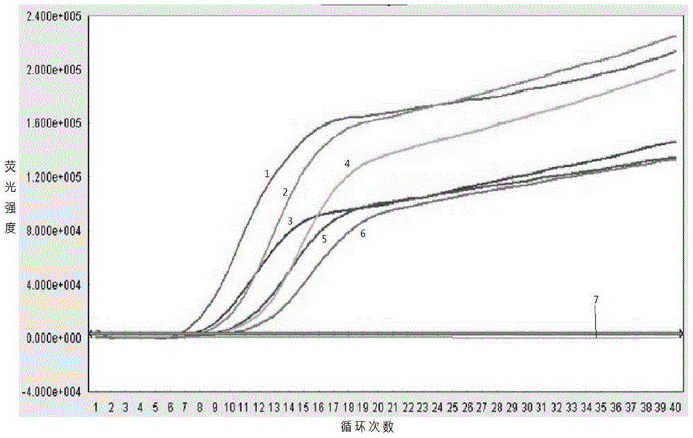 Primer and kit for detecting CYP2C9 and VKORC1 gene polymorphism and PCR method of primer and kit