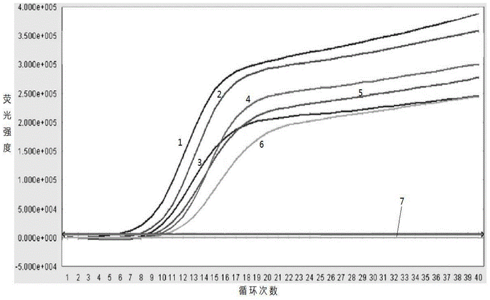 Primer and kit for detecting CYP2C9 and VKORC1 gene polymorphism and PCR method of primer and kit