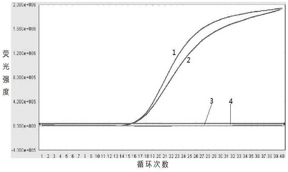 Primer and kit for detecting CYP2C9 and VKORC1 gene polymorphism and PCR method of primer and kit