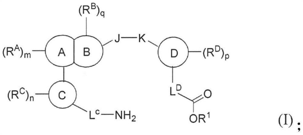 Oral complement factor D inhibitors