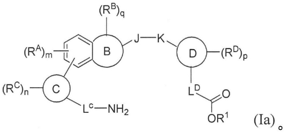 Oral complement factor D inhibitors