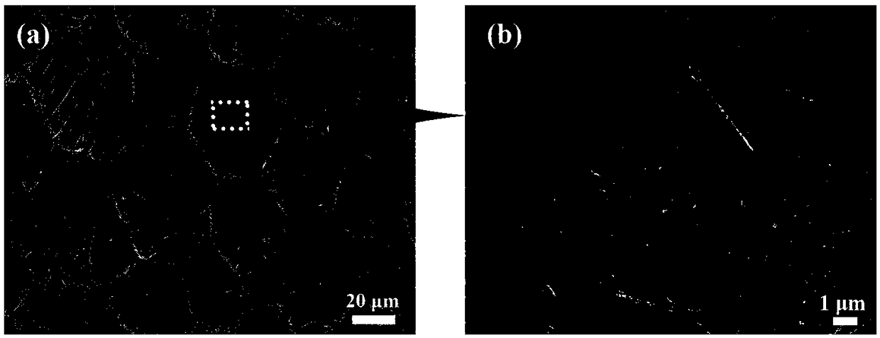 Titanium boride nanowhisker reinforced titanium-based composite material and preparation method thereof