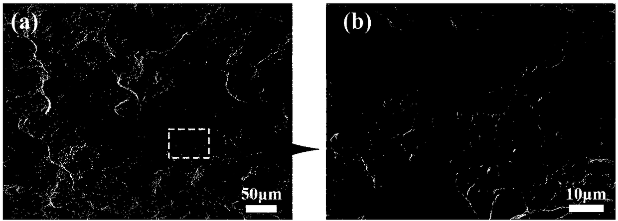 Titanium boride nanowhisker reinforced titanium-based composite material and preparation method thereof