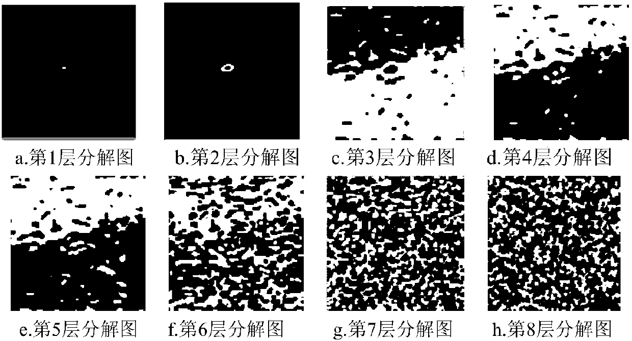 Spaceflight optical remote sensing high-density quantization information processing method