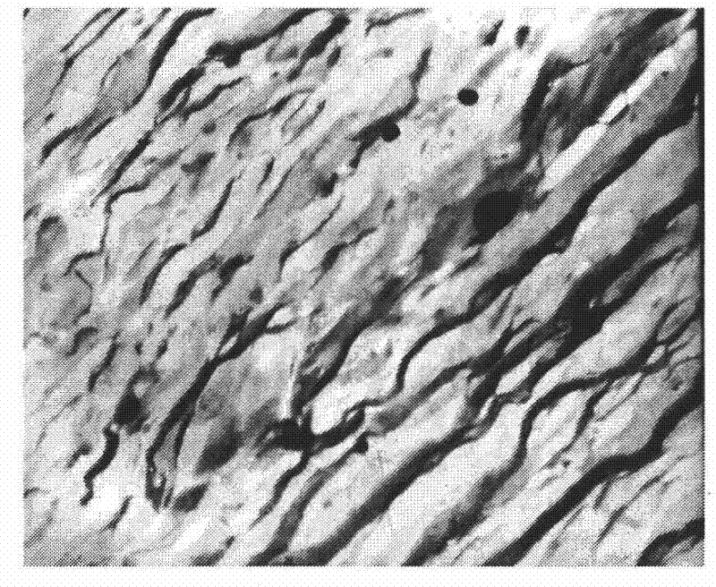 Production method of nylon 66/ polycarbonate/ silicon rubber thermostability engineering plastic