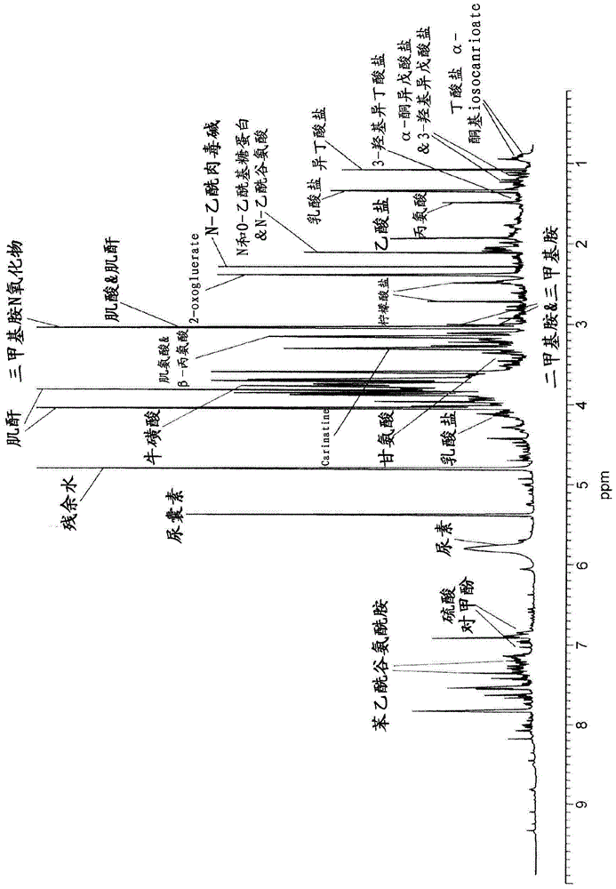 Hydroxy-sphingomyelin 22:1 as a biomarker of healthy aging