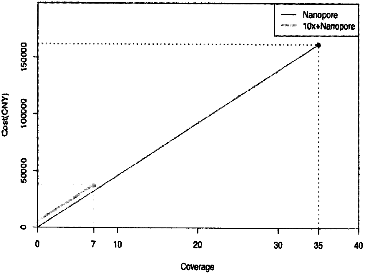 Method for de novo assembly of genome by comprehensively applying third-generation ultra-long reads and second-generation linked reads