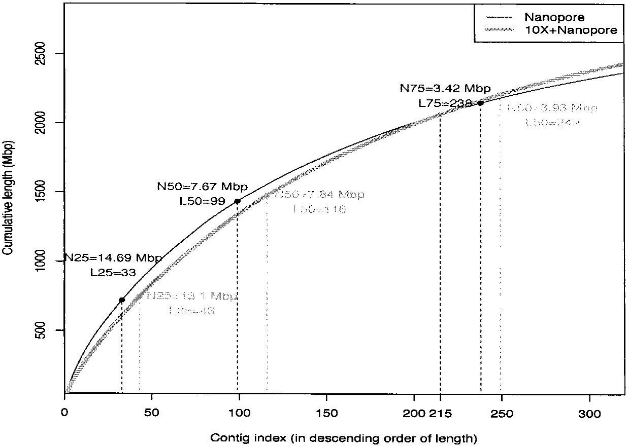 Method for de novo assembly of genome by comprehensively applying third-generation ultra-long reads and second-generation linked reads