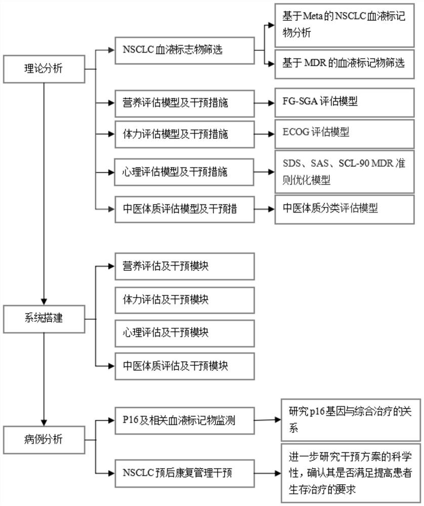 P16-based lung cancer postoperative comprehensive rehabilitation management method