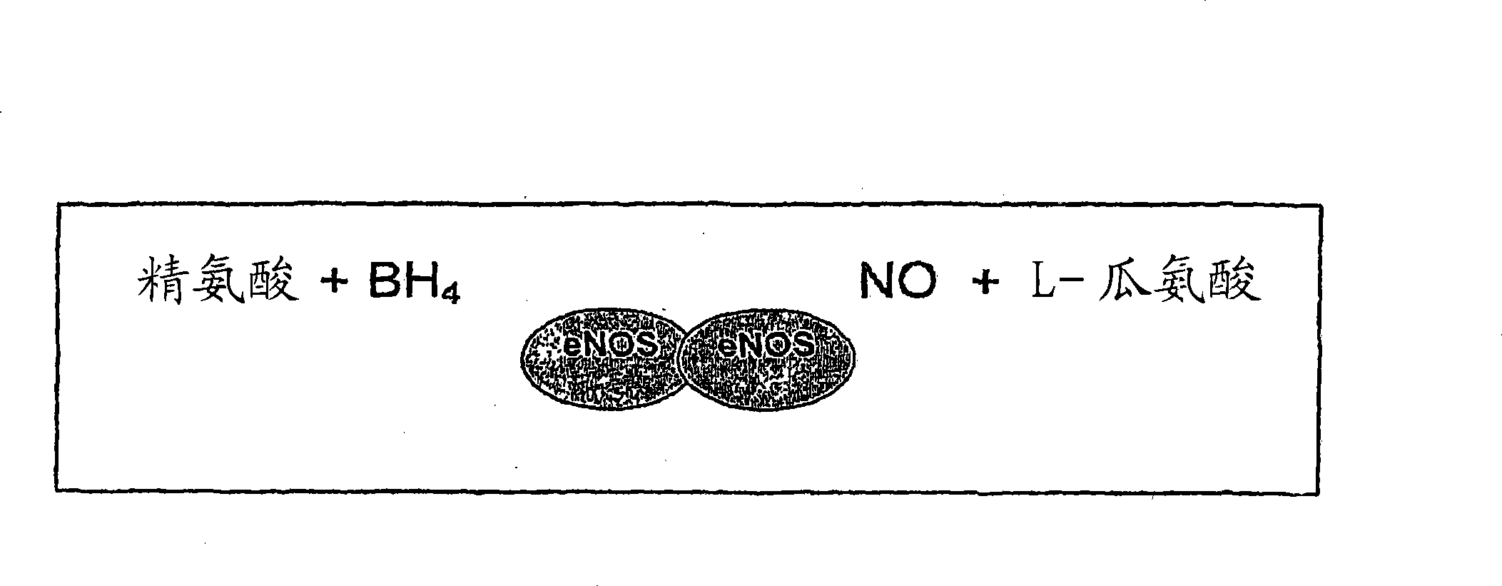 Methods and compositions for the treatment of vascular disease