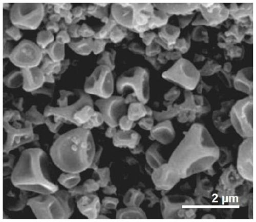 A drug-loaded protein particle and its preparation method