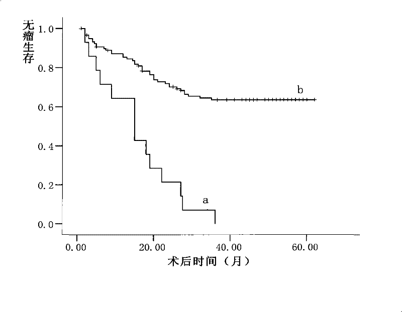 Liver cancer patient postoperative transferring recrudescence polymolecular forecasting reagent kit based on inflammation factor