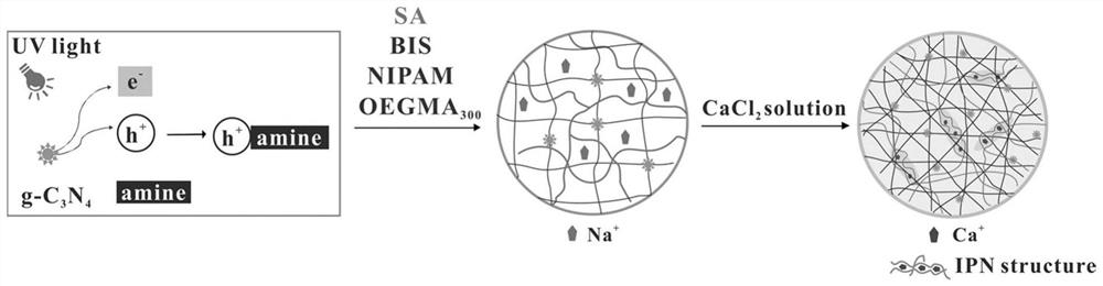 Preparation method of skin health monitoring bracelet with visual sunlight irradiation intensity