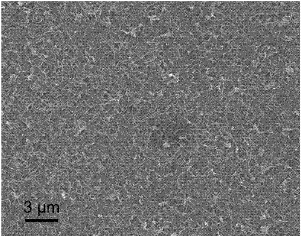 Method for selectively recycling noble metal ions of gold and silver