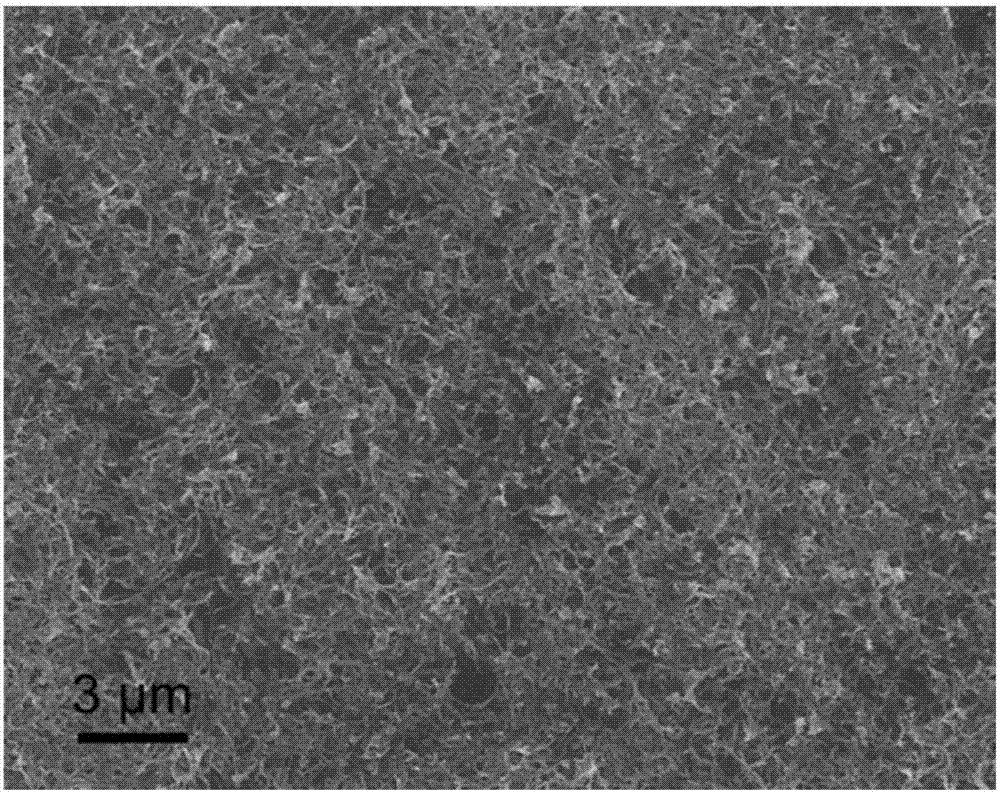 Method for selectively recycling noble metal ions of gold and silver