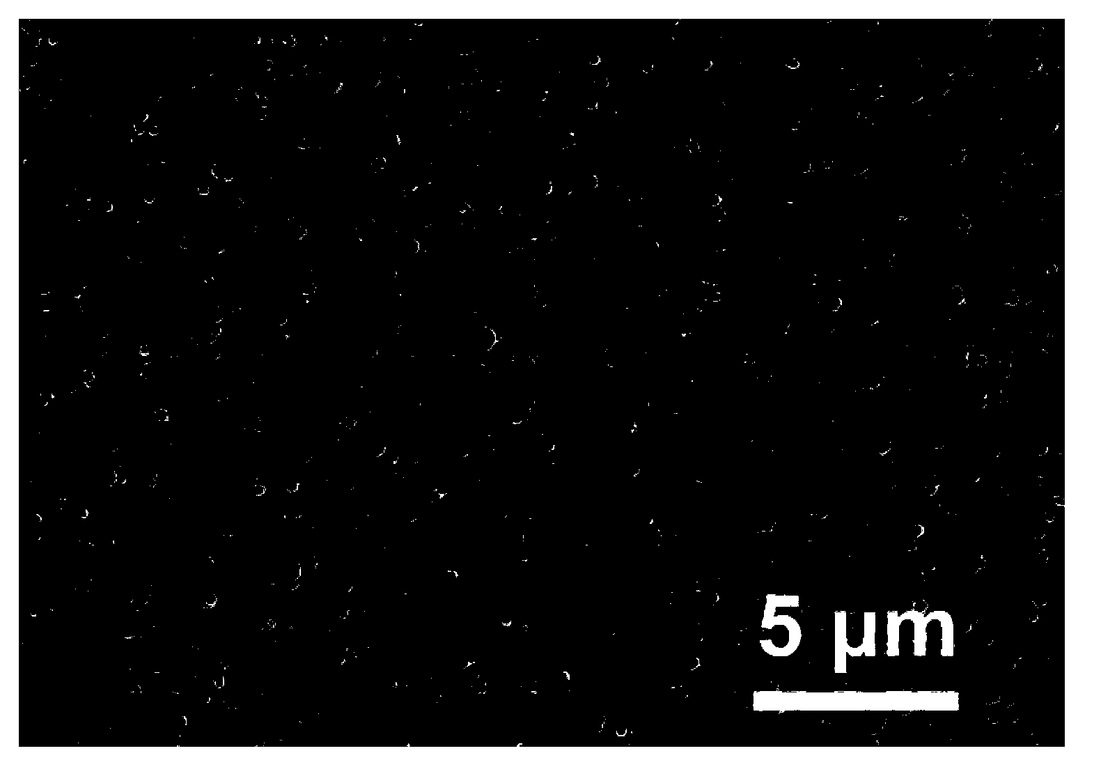 Biochip for enriching and detecting circulating tumor cells and preparation method thereof