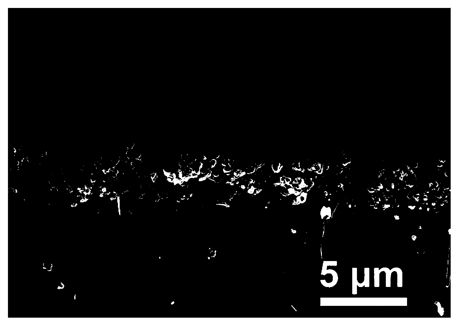 Biochip for enriching and detecting circulating tumor cells and preparation method thereof