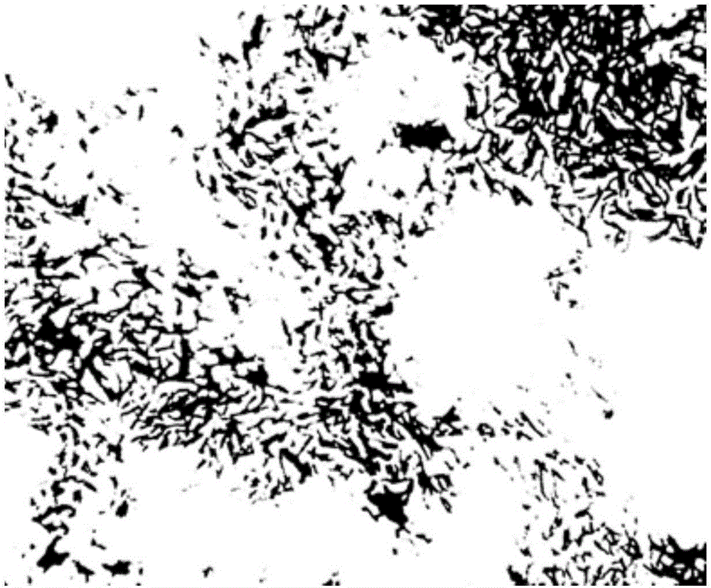 Rhodococcus ruber PTA-2, immobilization and applications thereof