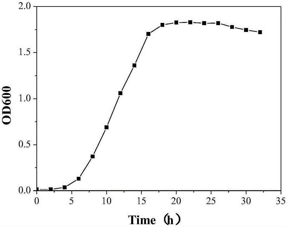 Rhodococcus ruber PTA-2, immobilization and applications thereof