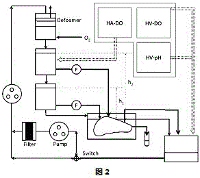 In-vitro liver culture method