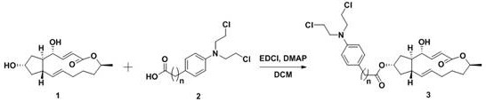 Preparation method and application of a class of 7-position nitrogen mustard derivatives of brefeldin a