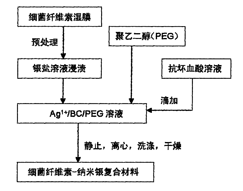 Preparation method of bacterial cellulose-nano silver composite material