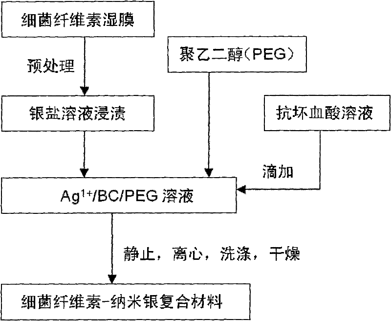 Preparation method of bacterial cellulose-nano silver composite material