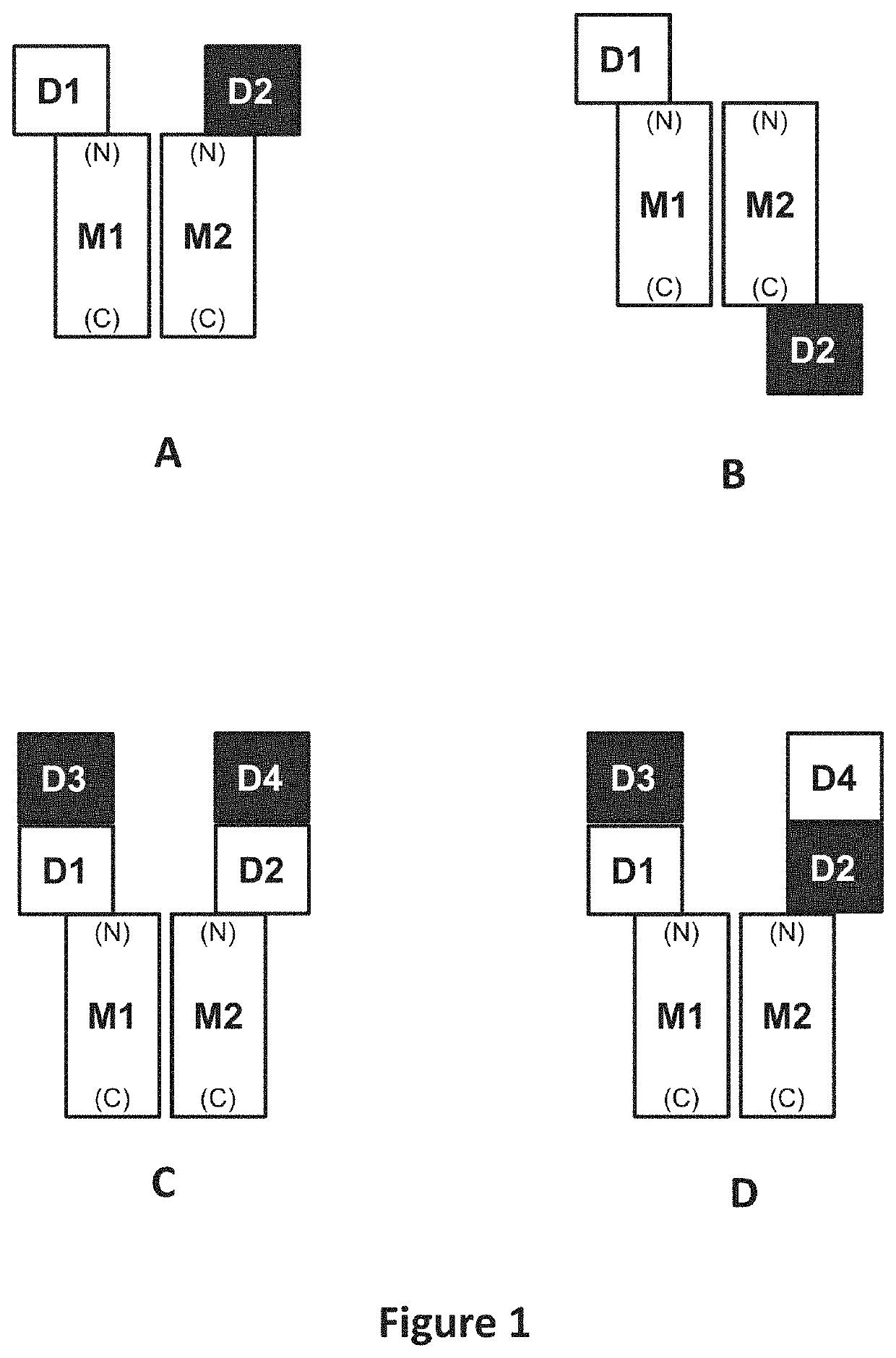 Methods of treating inflammatory conditions