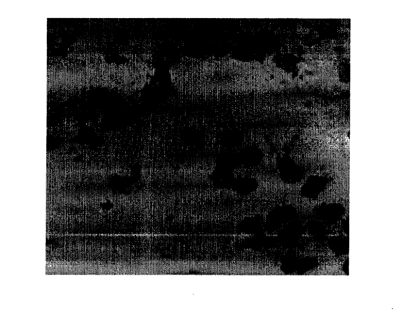 Kit for LAMIN A gene hybridization in situ, detection method and use thereof