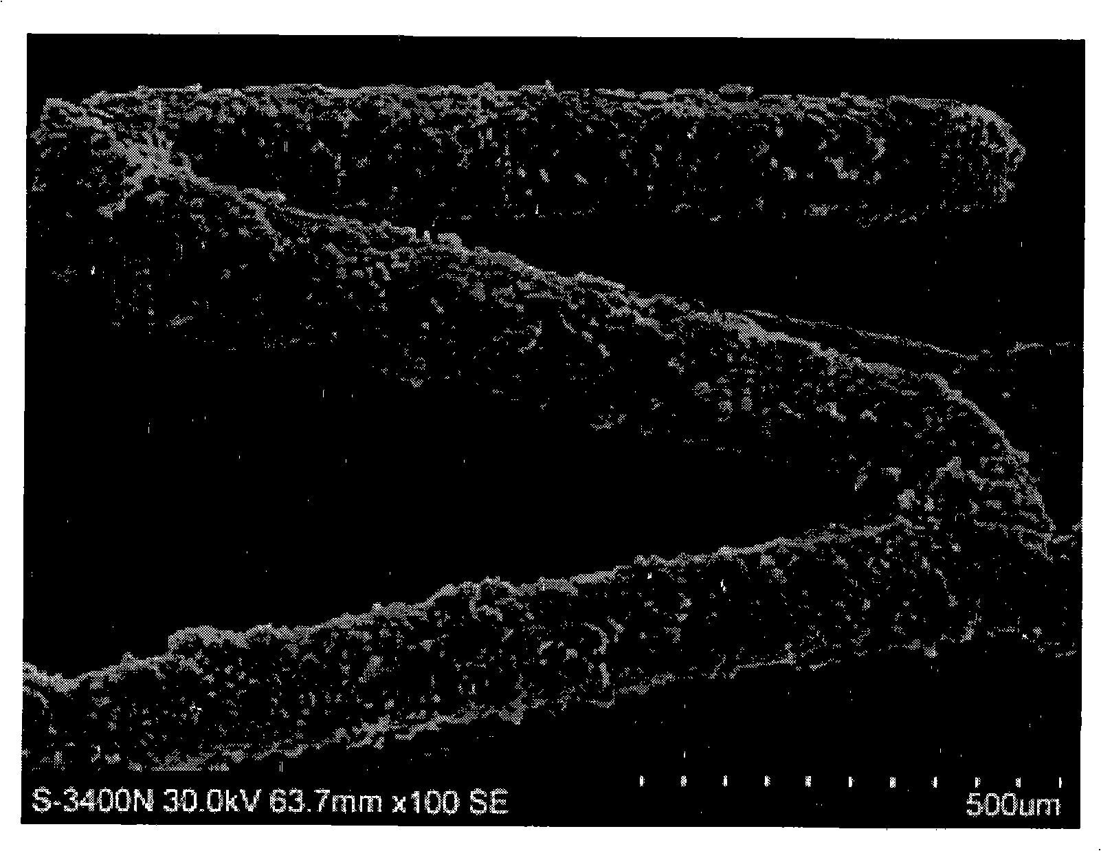 Transgenic cell overlapped vascular inner rack and manufacture method thereof