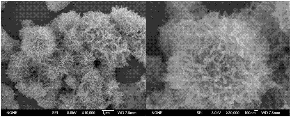 g-C3N4/TiO2 (graphite-carbon nitride/titanium dioxide) nanowire assembly structure photocatalyst and preparation method thereof