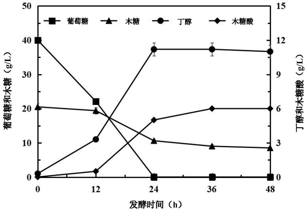 Recombinant clostridium acetobutylicum for efficiently converting straw biomass carbon source as well as construction method and application of recombinant clostridium acetobutylicum