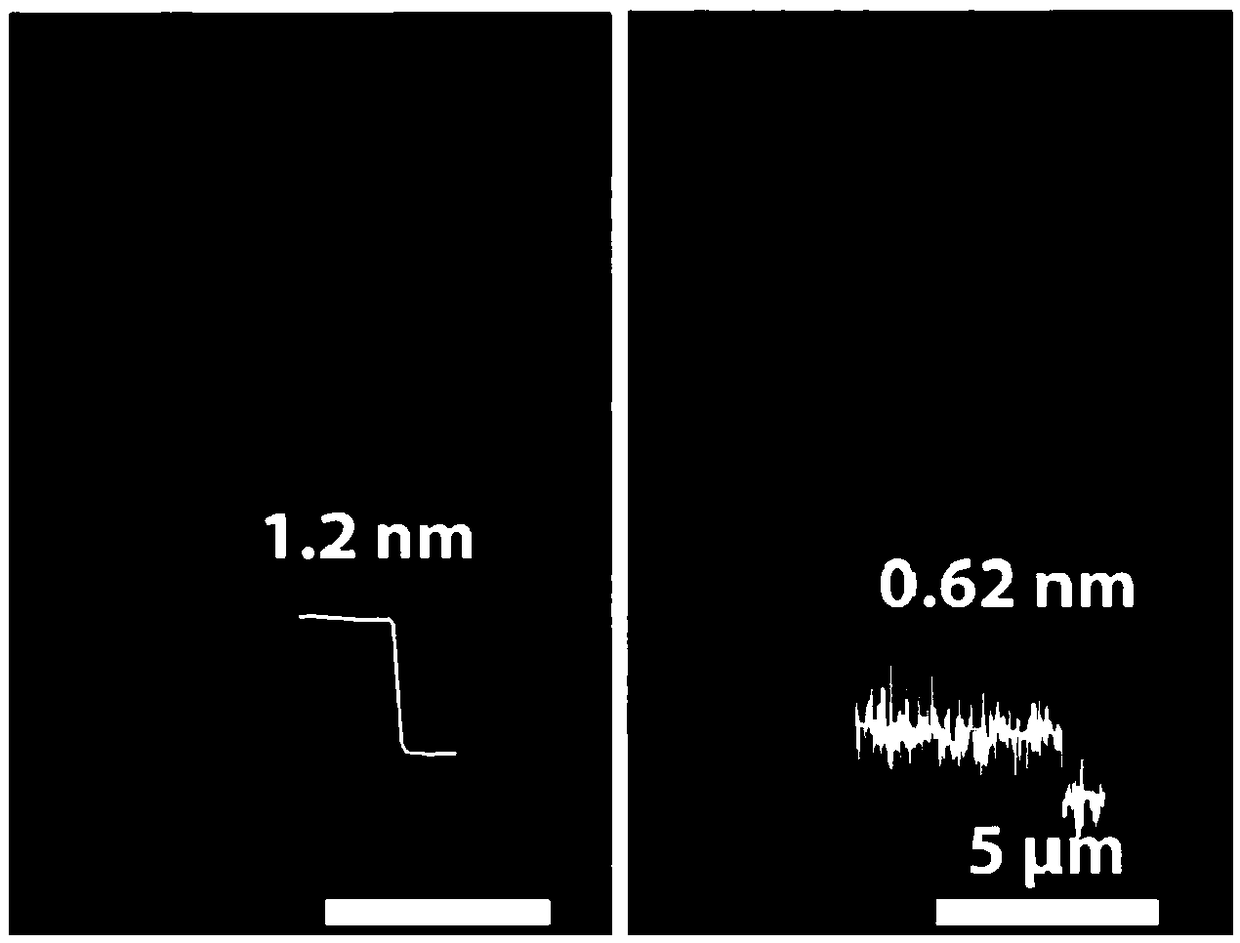 Two-dimensional bismuth oxygen selenium atom crystal materials and preparation method and application thereof