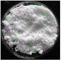 Method for indirectly preparing D-sodium erythorbate