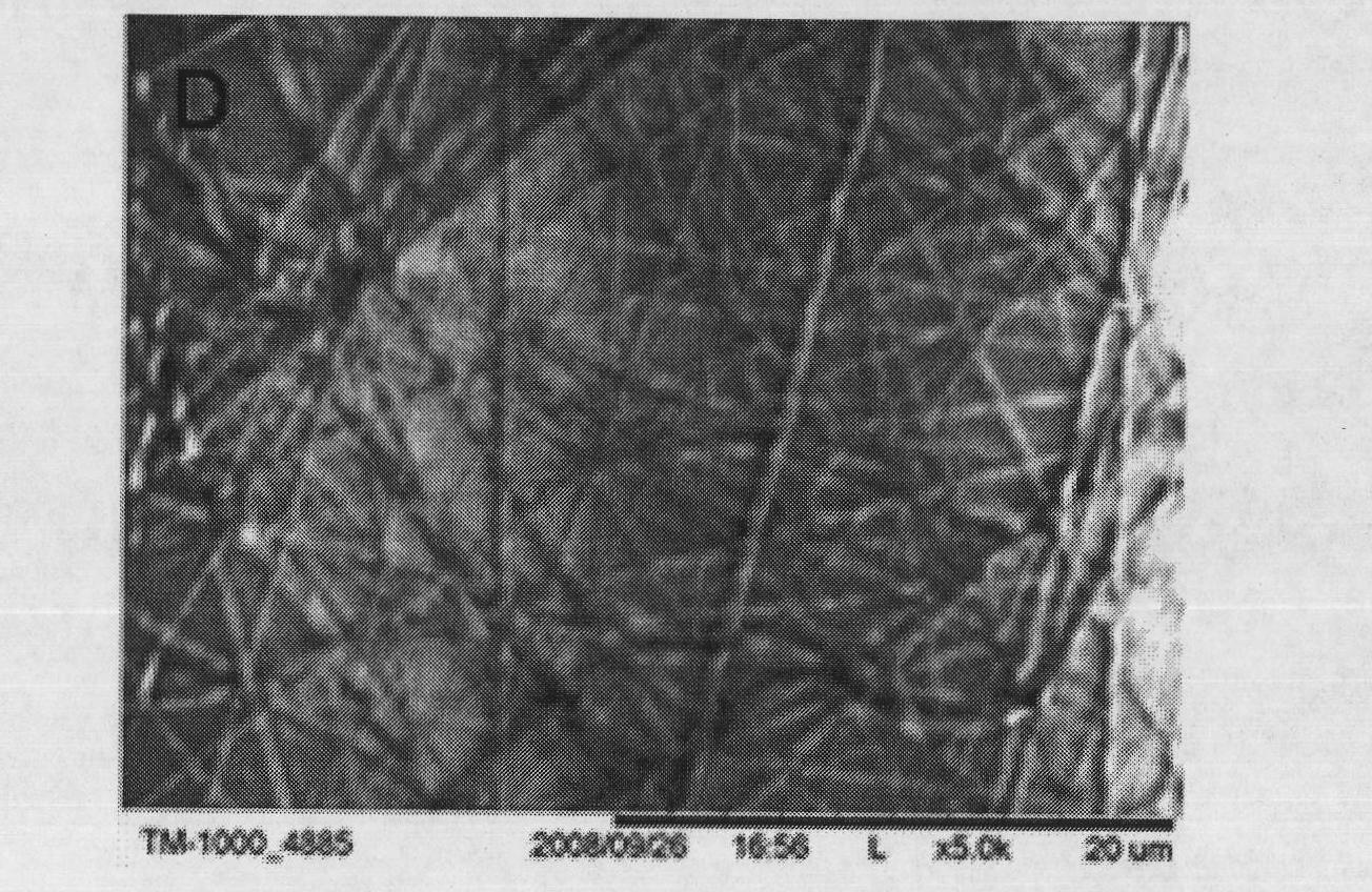 Preparation method of biodegradable diaphragm for promoting regeneration of periodontal tissue