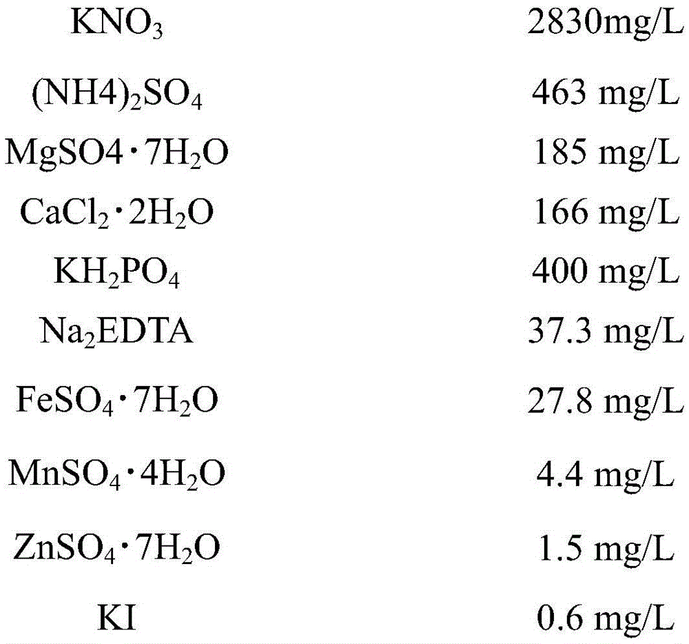 Induction medium of selfing line embryonic callus of Southeast Asia common wild rice