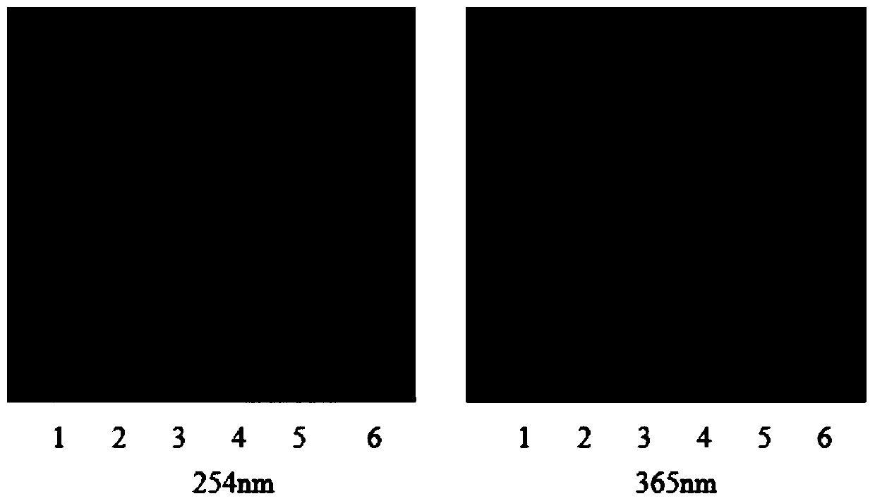 Preparation method of Polygonum chinense formula particles and quality control method thereof