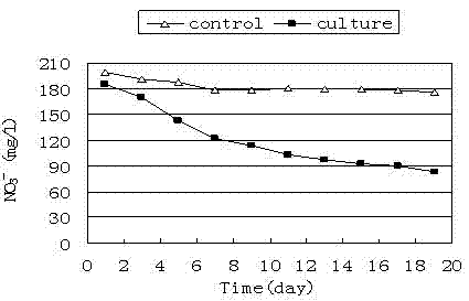 A method to realize synchronous denitrification and dephosphorization of sewage