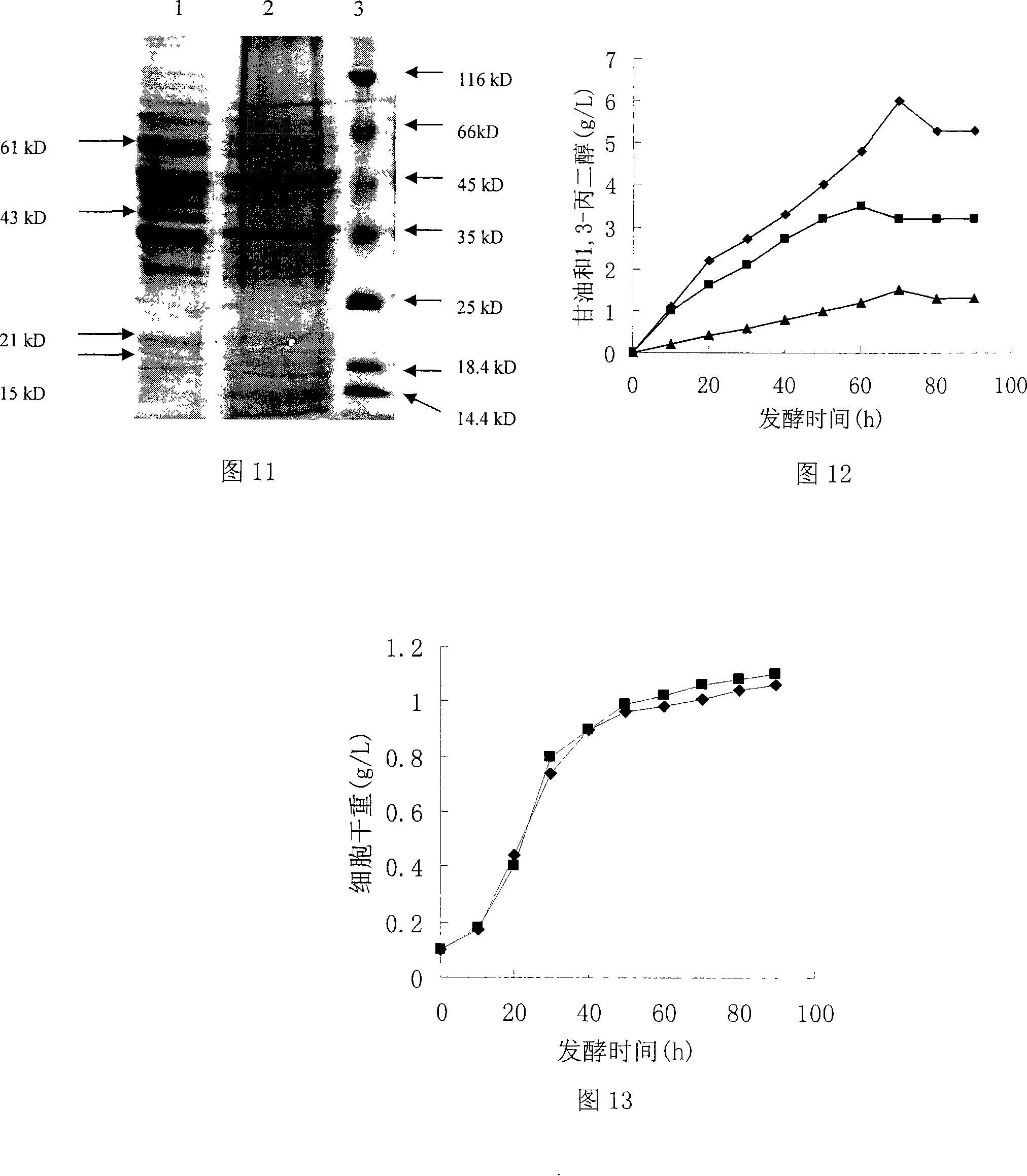 Construction method for producing 1,3-trimethylene glycol regrouping saccharomyces cerevisiae with glucose as substrate