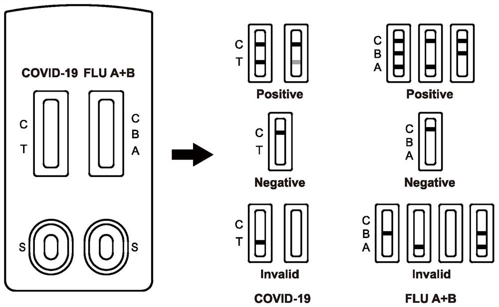 Immunochromatographic test paper for rapid combined diagnosis of neocoronavirus, influenza A and influenza B and preparation method thereof