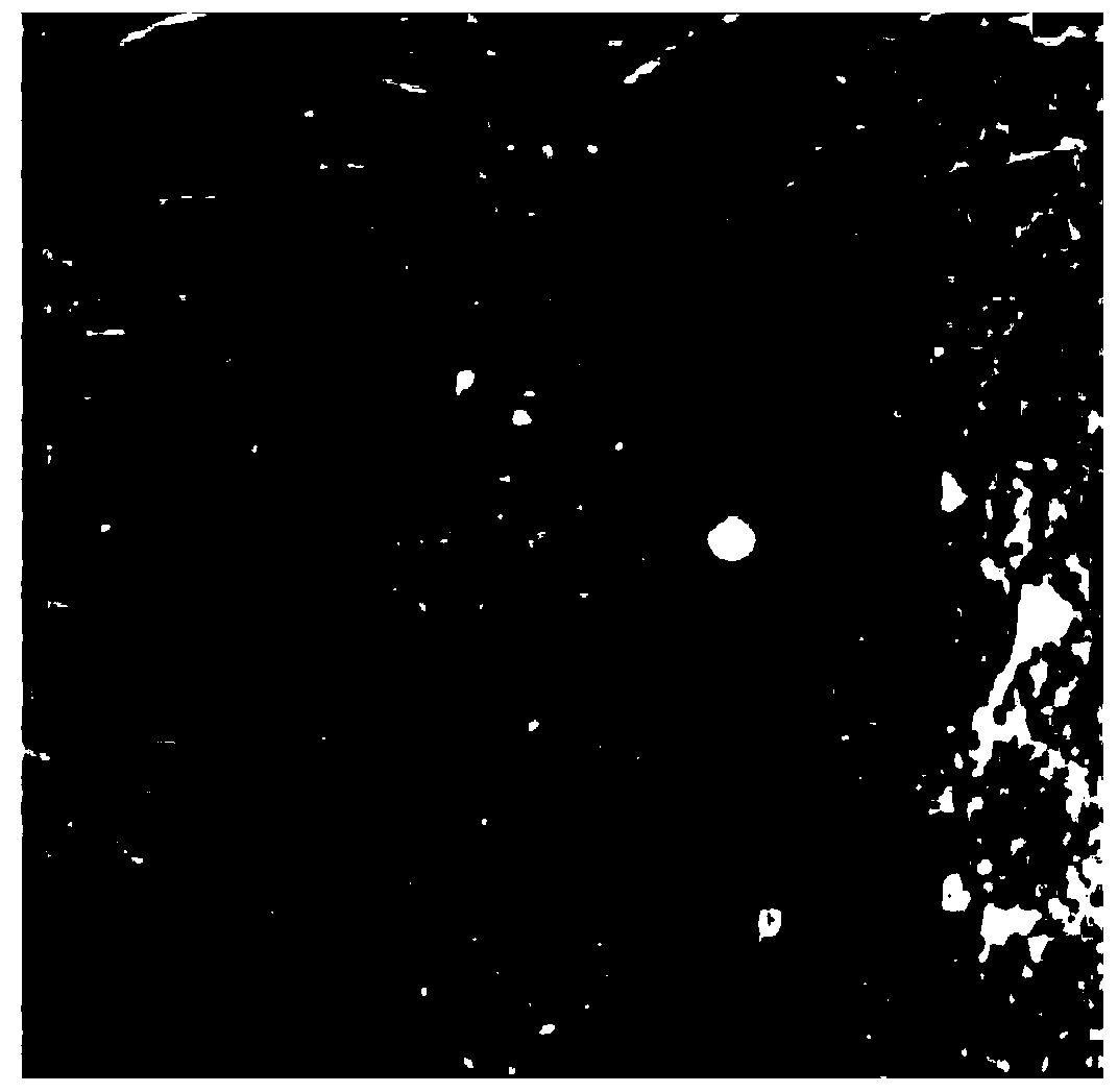 Helicobacter pylori fluorescent staining reagent