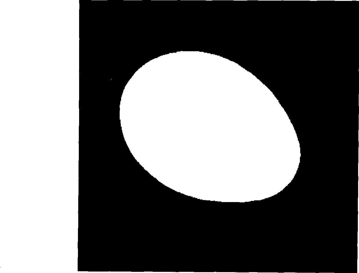 Egg volume and surface area detecting method