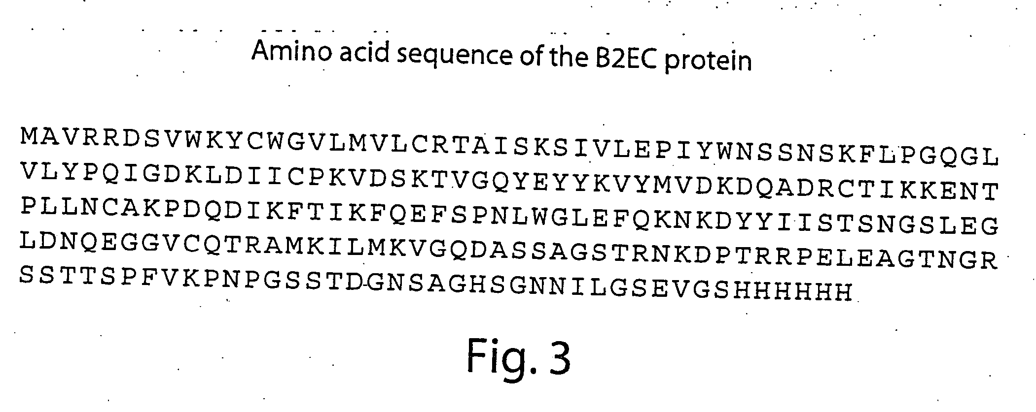 Compositions and methods for detecting and treating tumors