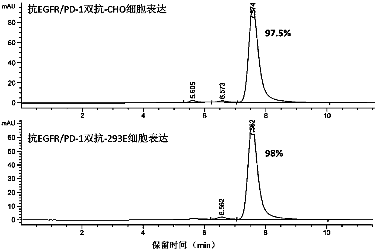 Anti-EGFR/PD-1 bispecific antibody